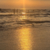 top 10 dia diem ngam binh minh dep nhat da nang 1730559243 5 top 10 dia diem ngam binh minh dep nhat da nang 1730559243